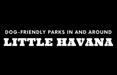 Dog-Friendly Parks In and Around Little Havana